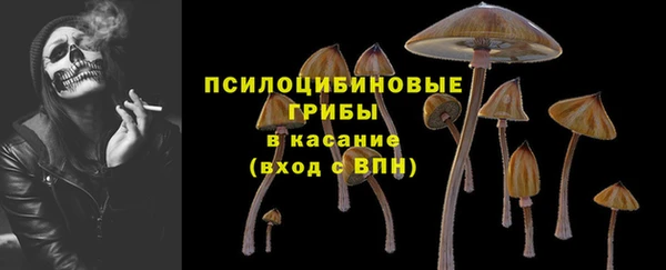 гидропоника Армянск