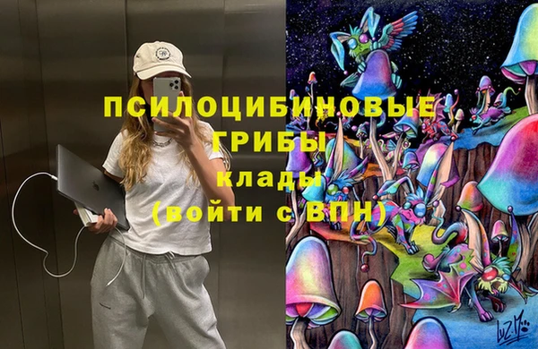 гидропоника Армянск