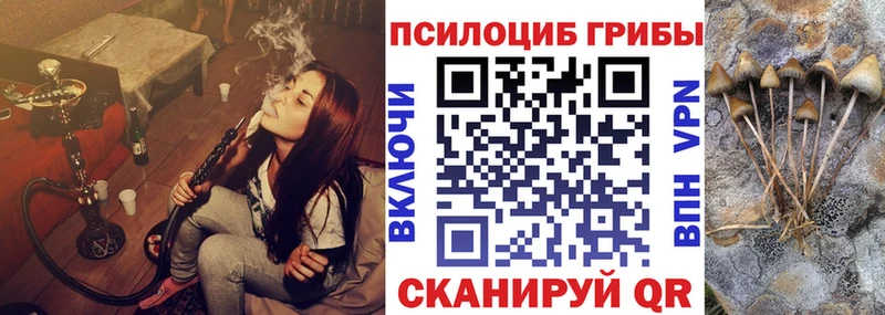 Купить где  Беслан  Галлюциногенные грибы Magic Shrooms 