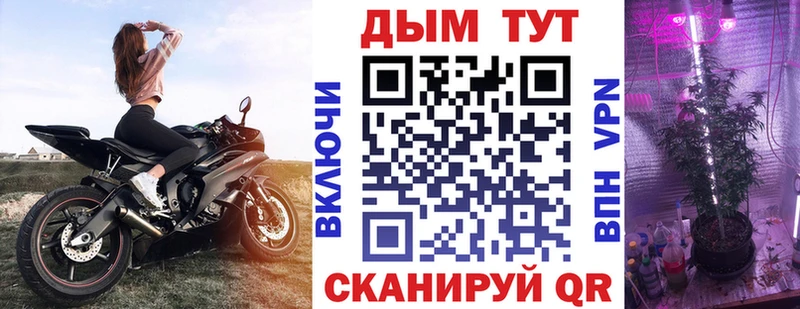 Купить  Беслан  Каннабис гибрид 